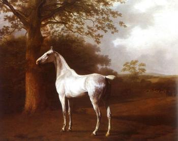 A White Horse by Diego Velasquez  Horse oil painting, Horse painting,  Horses