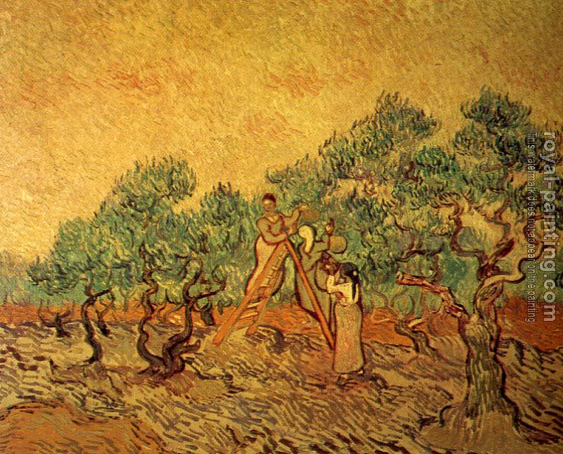 Women Picking Olives by Vincent Van Gogh | Oil Painting Reproduction