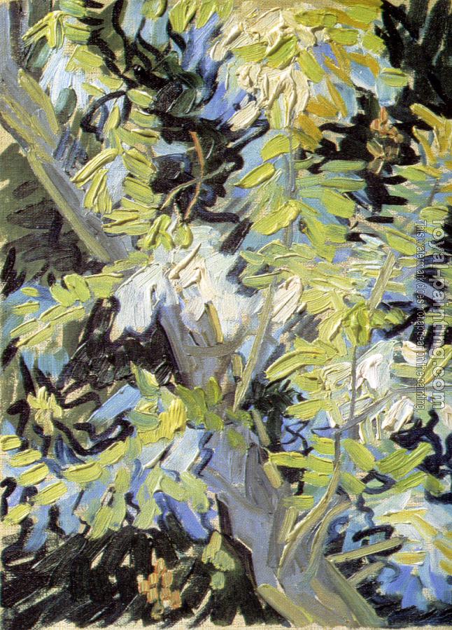 Branches of Flowering Acacia by Vincent Van Gogh | Oil Painting ...