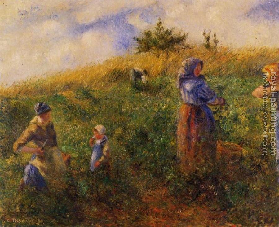 Картина сбор. Камиль Писсарро жатва. Камиль Писсарро сбор урожая. Picking Peas. 1887. Камиль Писсарро.. Камиль Писсарро 